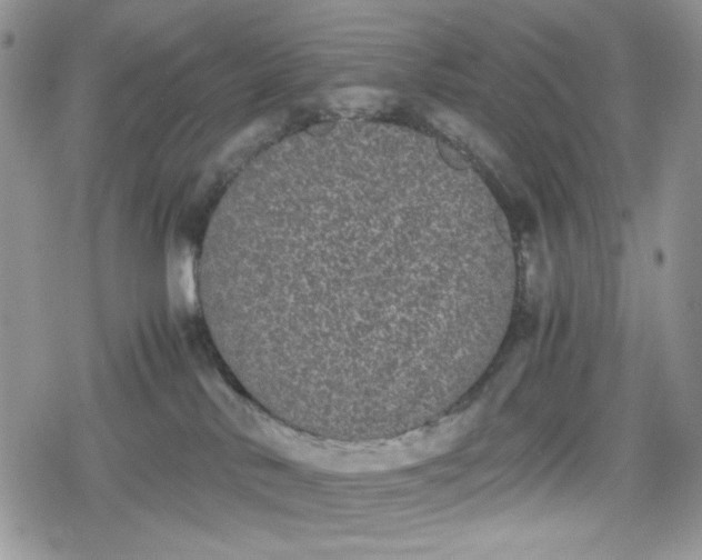 X0000078840042200611271333