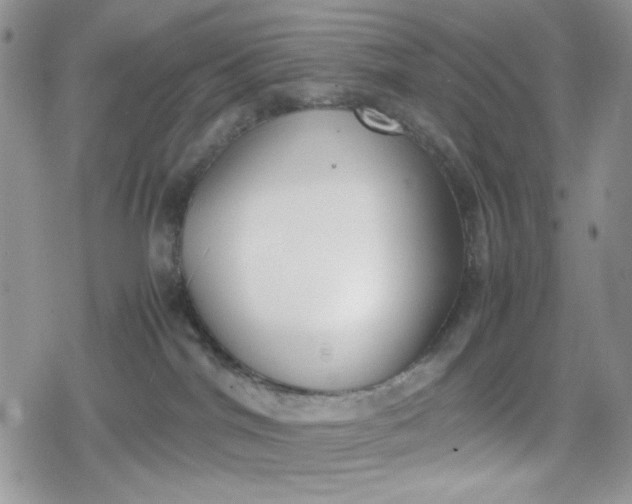 X0000078840044200611271333