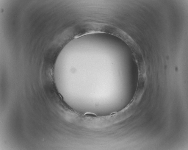 X0000078840045200611271333