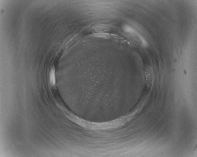 X0000078840046200611271333