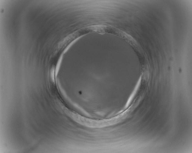 X0000078840047200611271333