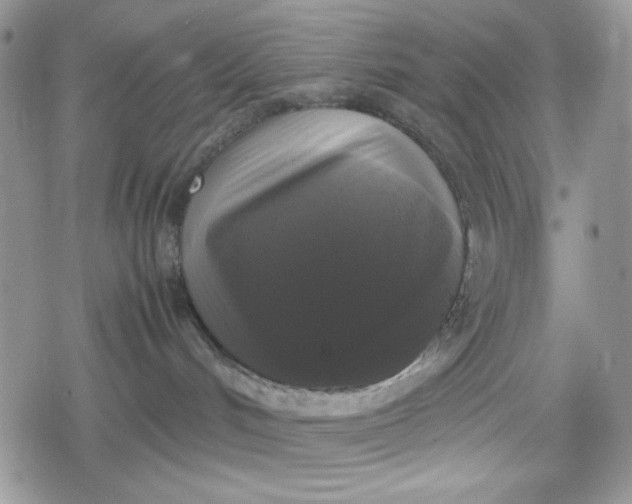 X0000078840048200611271333