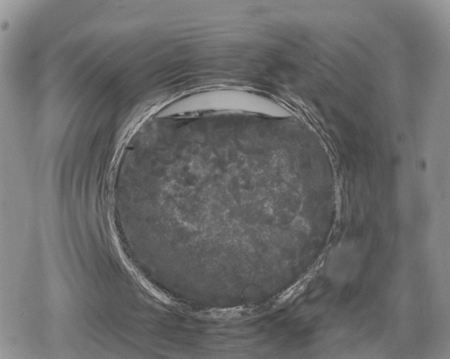 X0000078840049200611271332