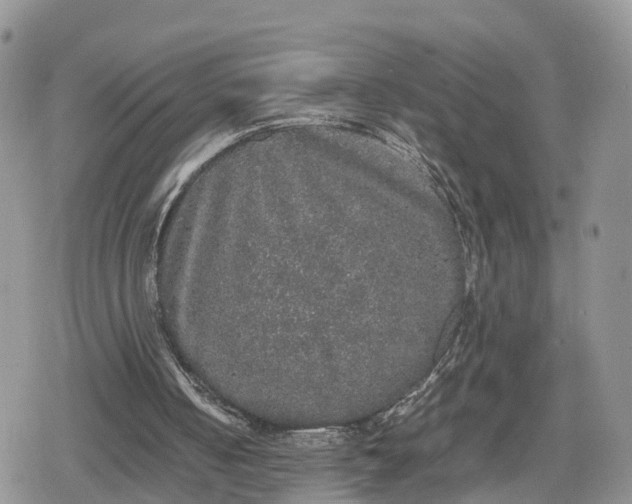 X0000078840050200611271332