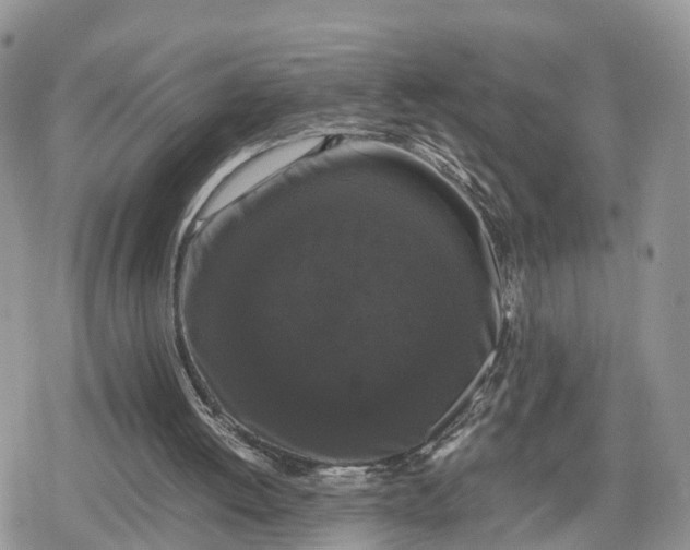 X0000078840052200611271332