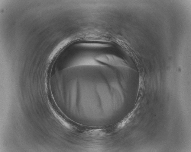 X0000078840054200611271332