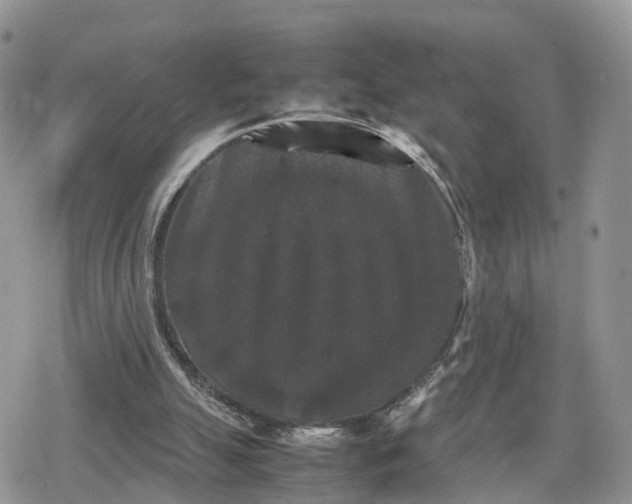 X0000078840055200611271332