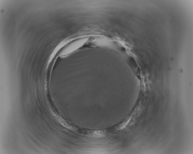 X0000078840056200611271332