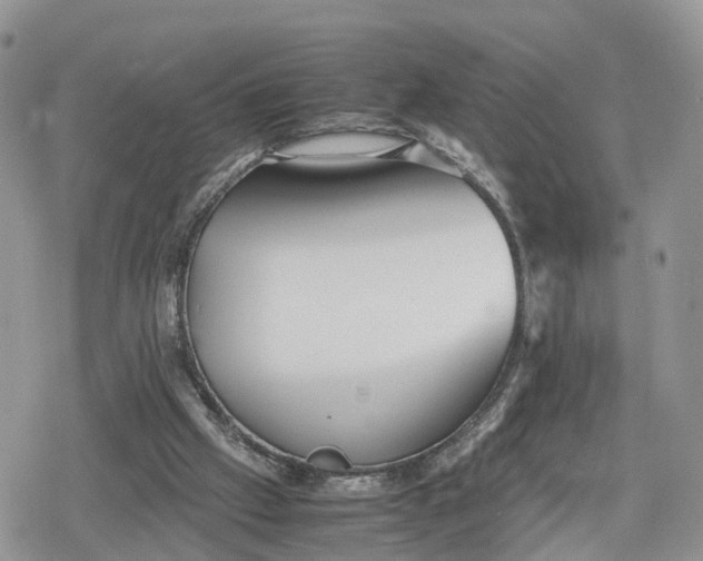 X0000078840057200611271332