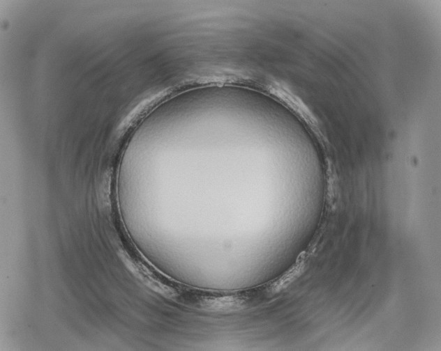 X0000078840058200611271332