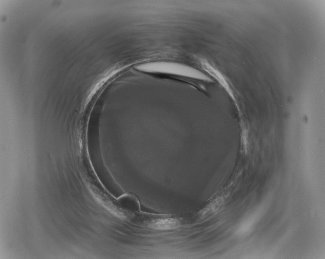 X0000078840059200611271332