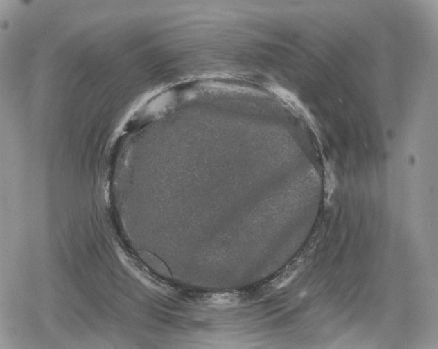 X0000078840060200611271332