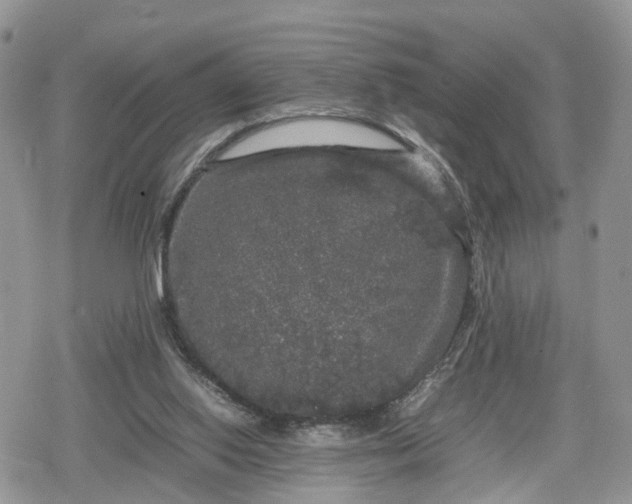 X0000078840062200611271332