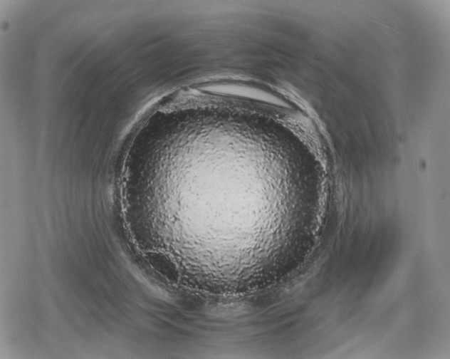 X0000078840063200611271332