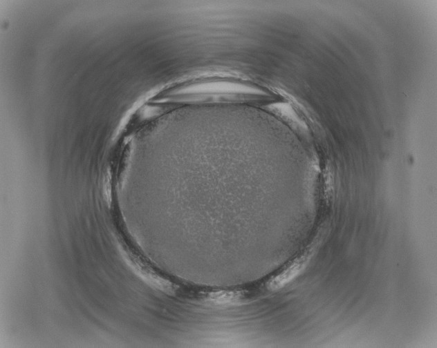 X0000078840064200611271332