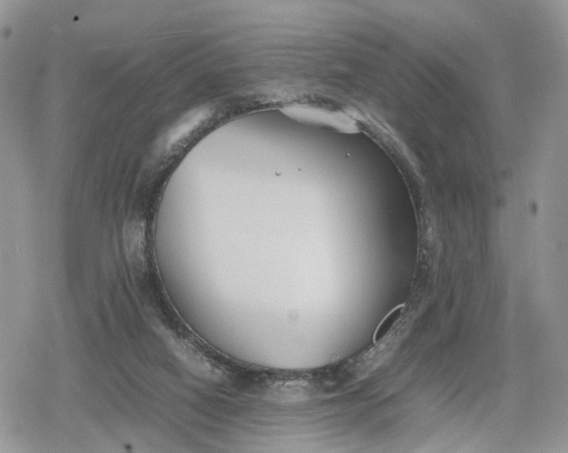 X0000078840066200611271332