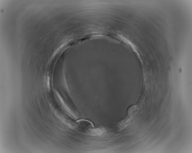 X0000078840067200611271332