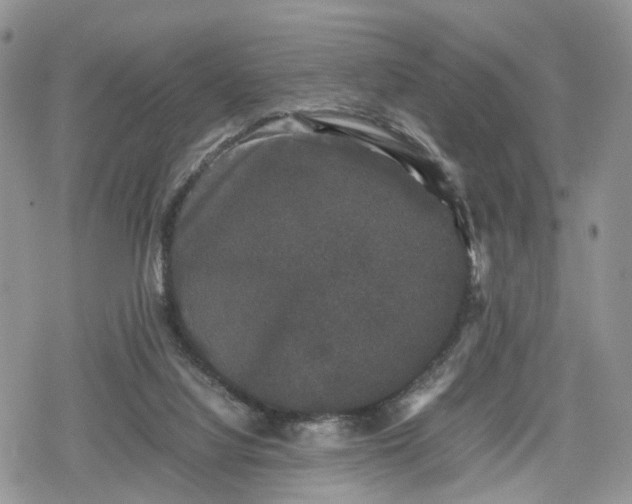 X0000078840068200611271332