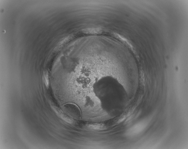 X0000078840069200611271332