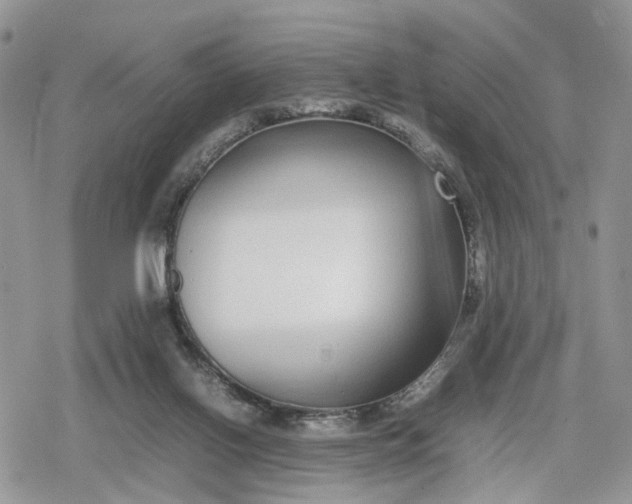 X0000078840070200611271332