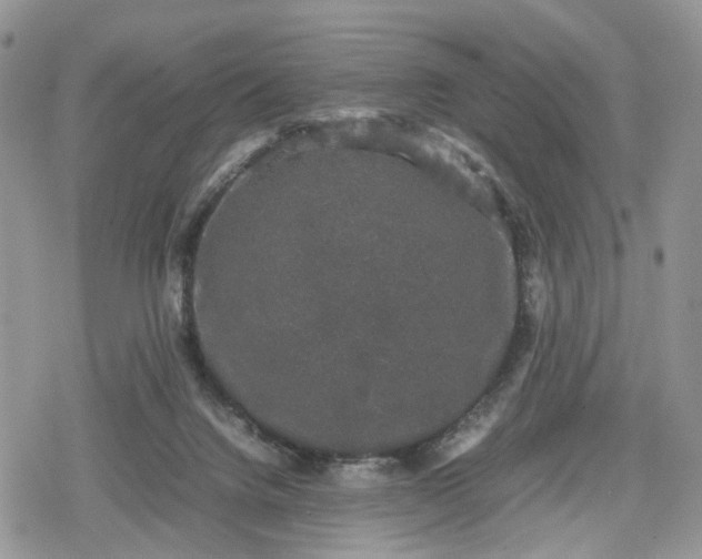 X0000078840072200611271332