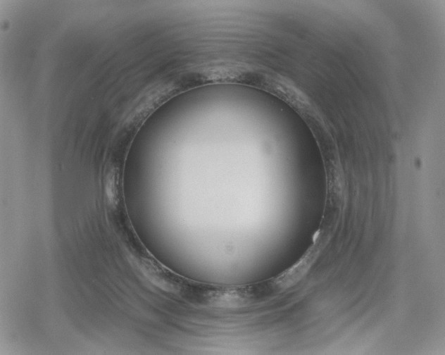 X0000078840074200611271332