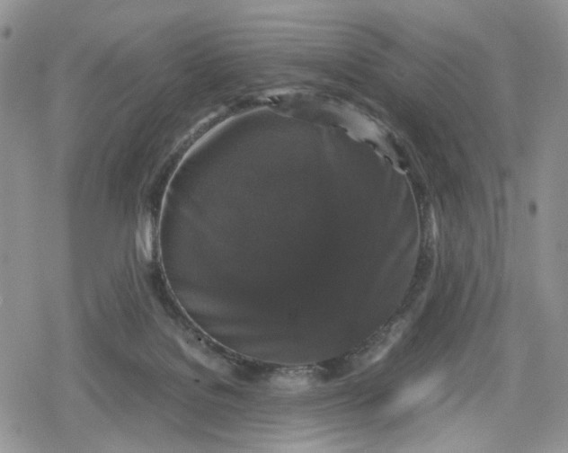 X0000078840076200611271332