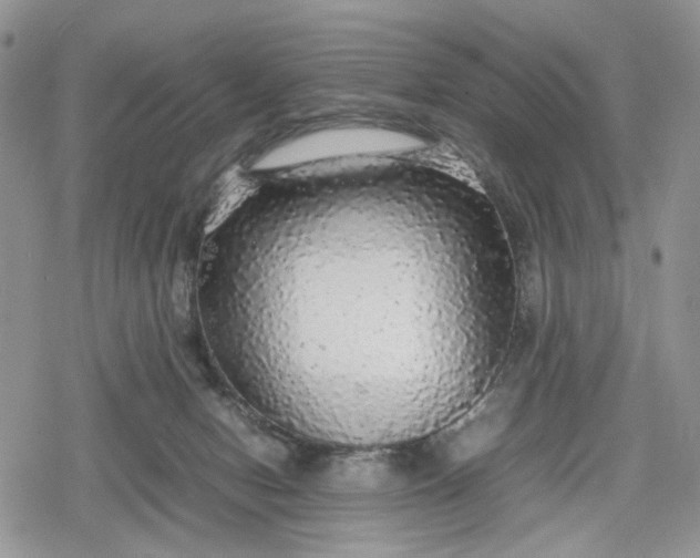 X0000078840078200611271332