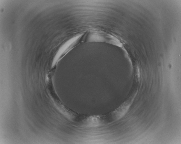 X0000078840080200611271332