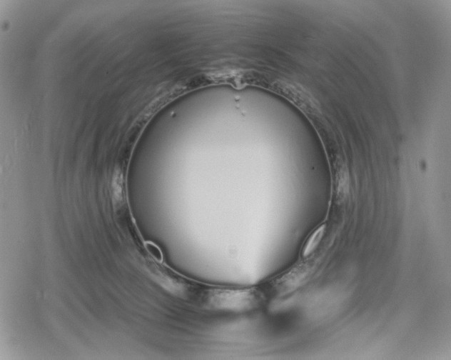 X0000078840081200611271332