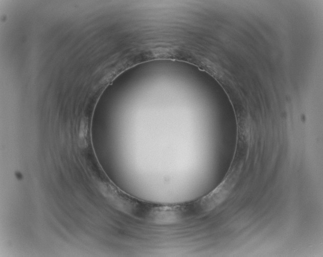 X0000078840082200611271332