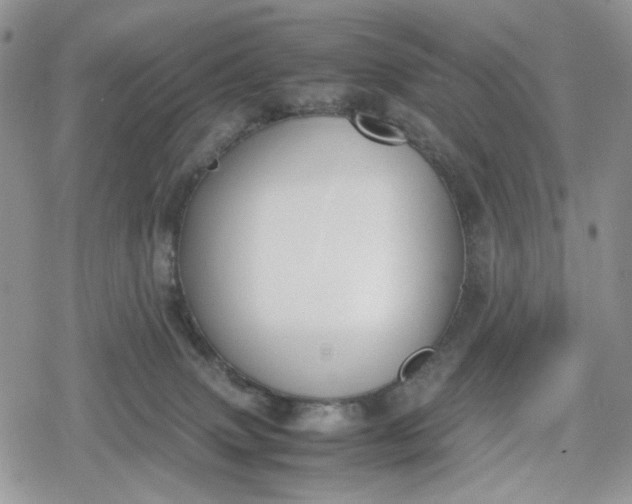 X0000078840083200611271332