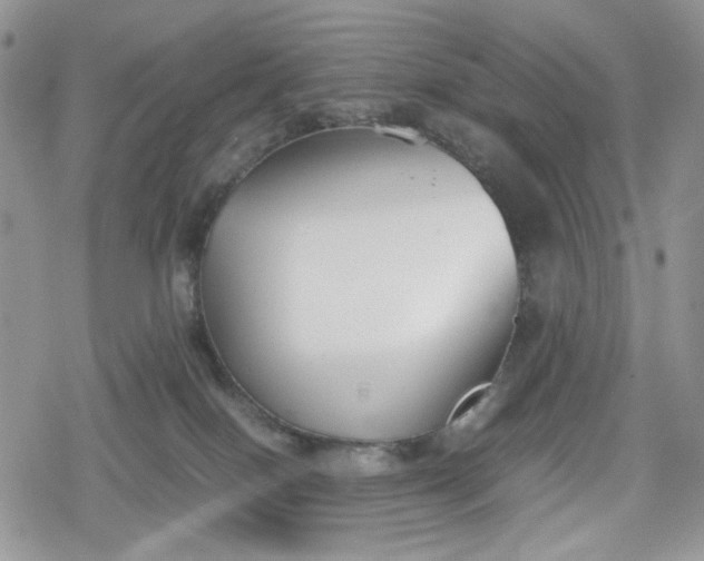 X0000078840086200611271333