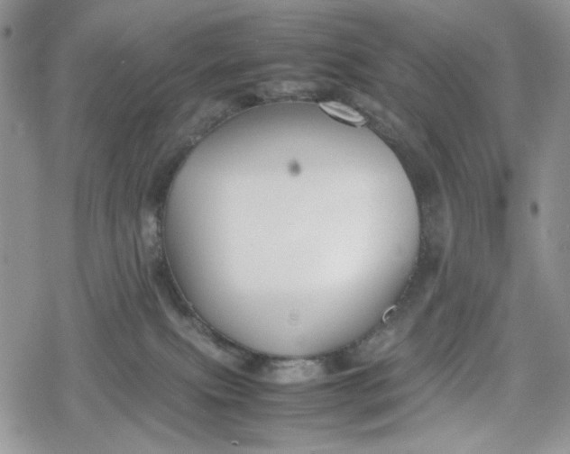 X0000078840087200611271333