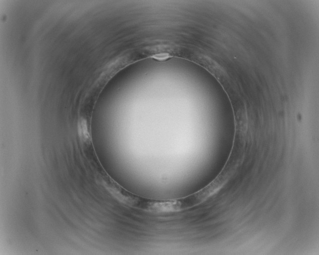 X0000078840089200611271333