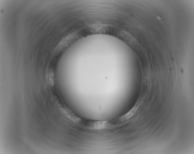 X0000078840090200611271333