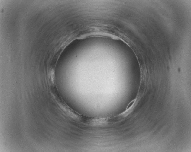 X0000078840094200611271333