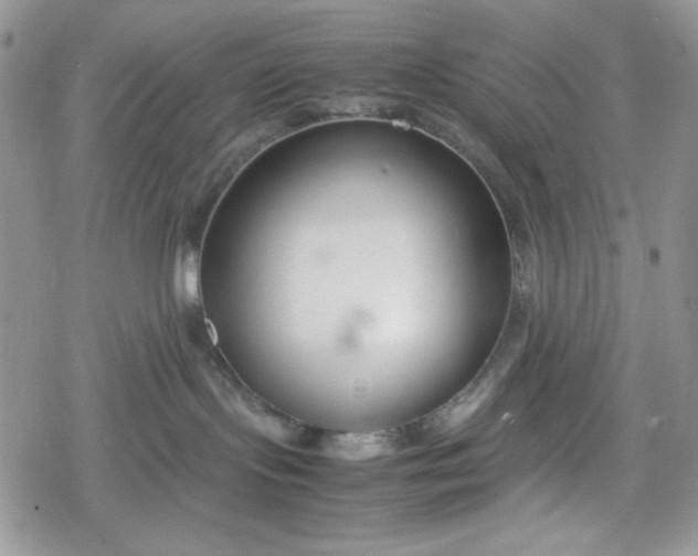 X0000078840095200611271333