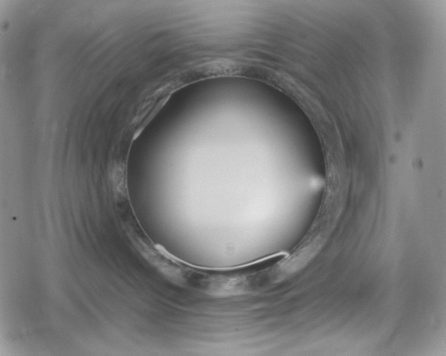 X0000078840096200611271333