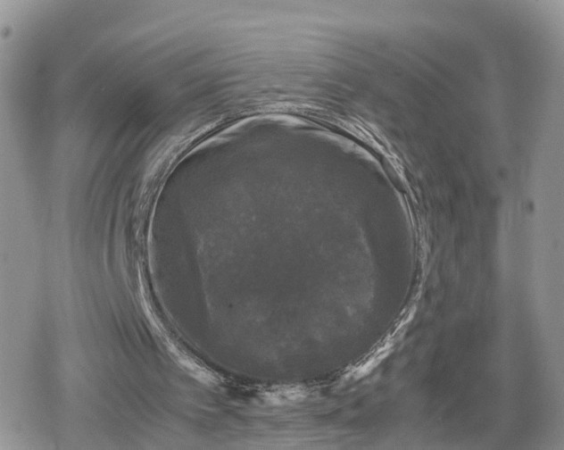 X0000078840097200611271332