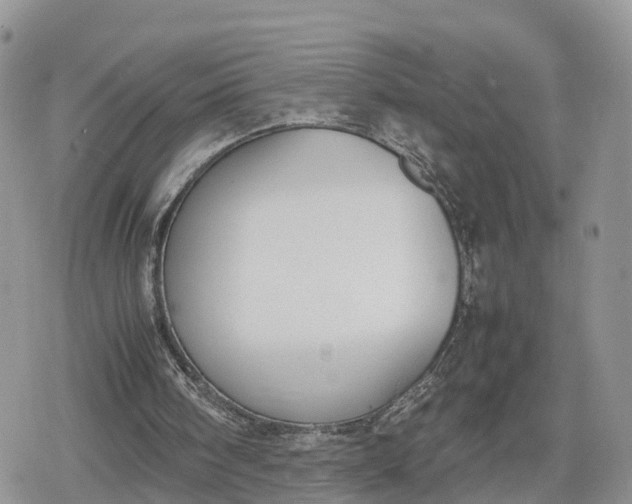 X0000078840098200611271332