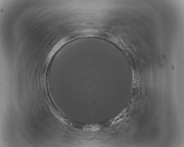 X0000078840099200611271332