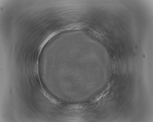 X0000078840100200611271332