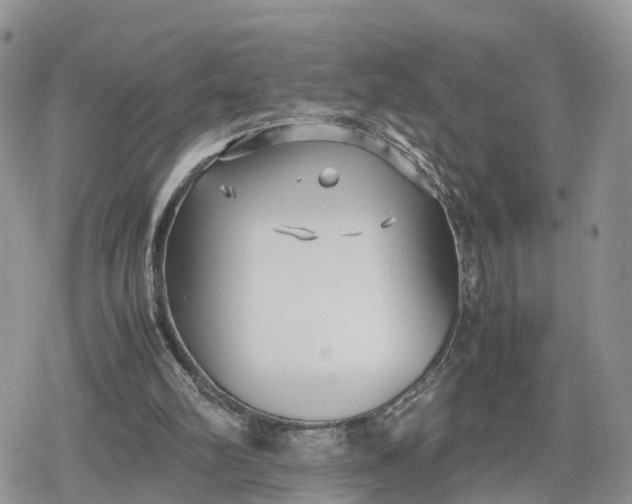 X0000078840102200611271332