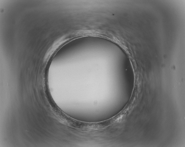 X0000078840103200611271332