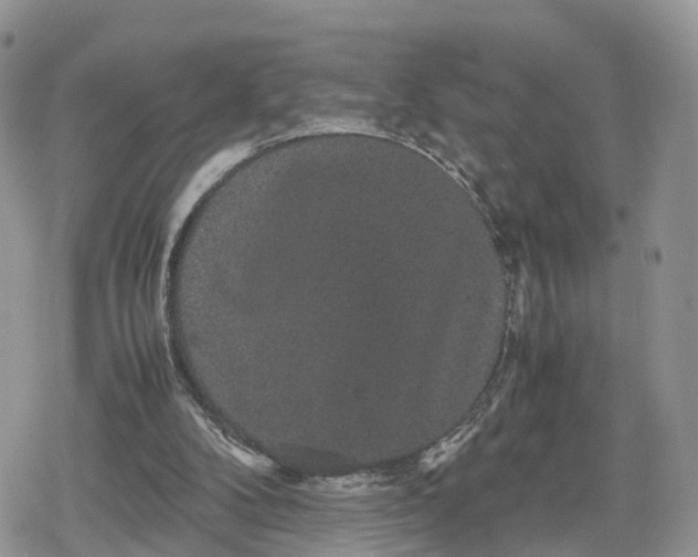 X0000078840104200611271332