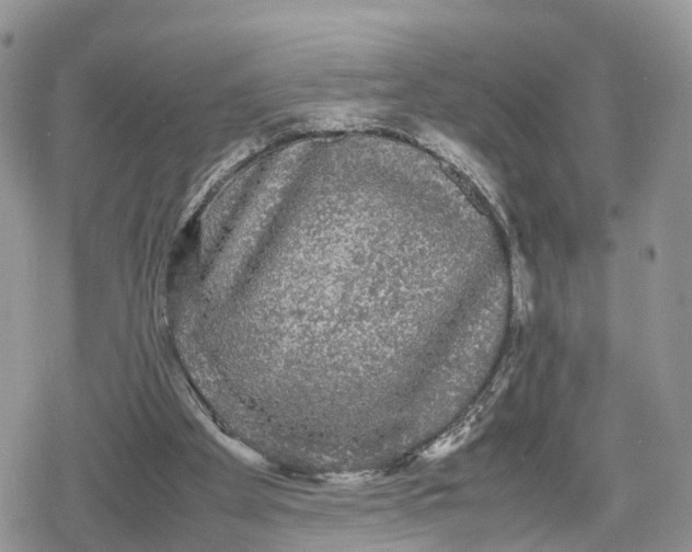 X0000078840105200611271332