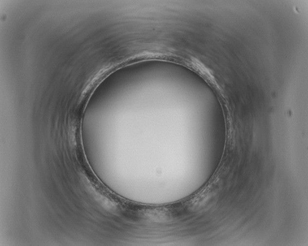 X0000078840106200611271332