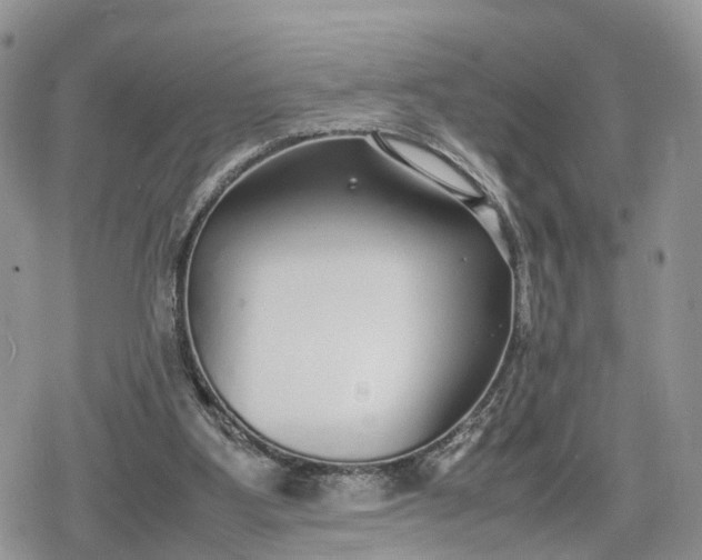 X0000078840107200611271332