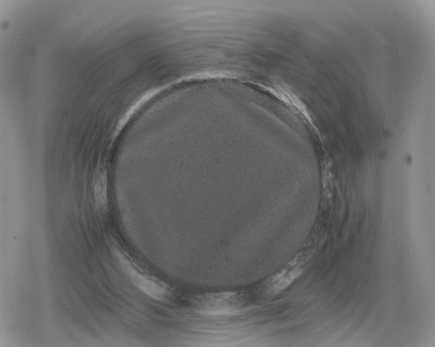 X0000078840108200611271332